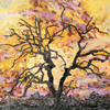 Sunset Tree Fullsize