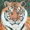 TIGER Fullsize